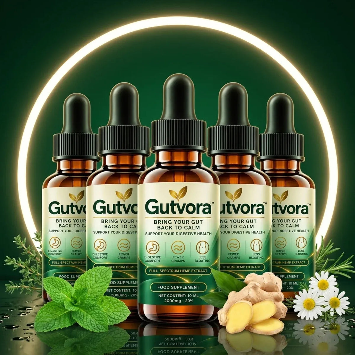 Gutvora